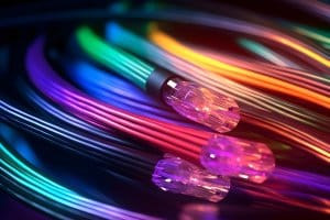 הוט סיבים חוות דעת